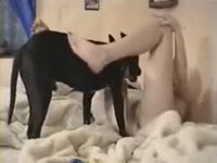 Amateur mature enjoy dog sex